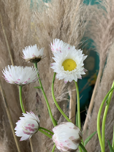 Florist «Sweet Pea Florist», reviews and photos, 5918 Naples Plaza, Long Beach, CA 90803, USA