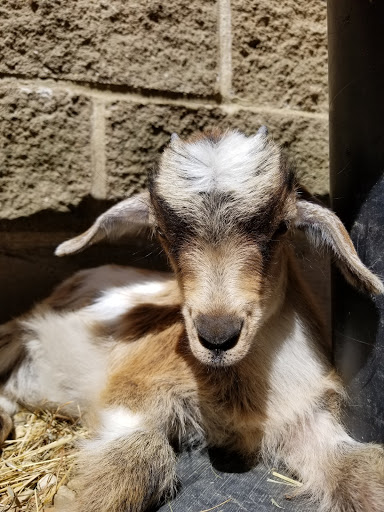 Park «Bever Park», reviews and photos, 2700 Bever Ave SE, Cedar Rapids, IA 52403, USA