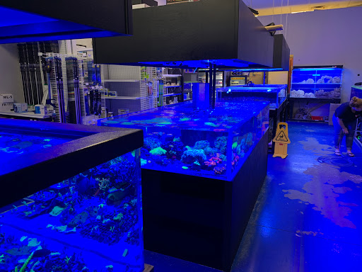 Aquarium «Coral Logic Aquarium LLC», reviews and photos, 7860 Gate Pkwy #108, Jacksonville, FL 32256, USA