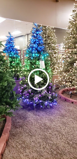 Store «Seasonal Specialty Stores», reviews and photos, 113 Washington St, Foxborough, MA 02035, USA