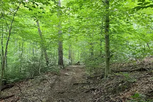 Long Pond Ironworks State Park image