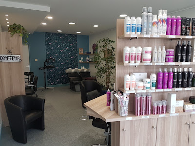 11 Avenue Coiffure - Véronique Charles à Roanne