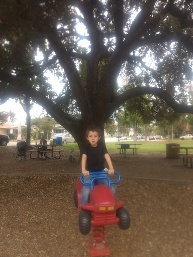 Park «City Hall Park», reviews and photos, 401 S Brea Blvd, Brea, CA 92821, USA