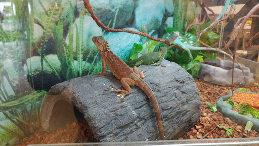 Pet Supply Store «Petco Animal Supplies», reviews and photos, 911 N Stratford Rd c, Moses Lake, WA 98837, USA