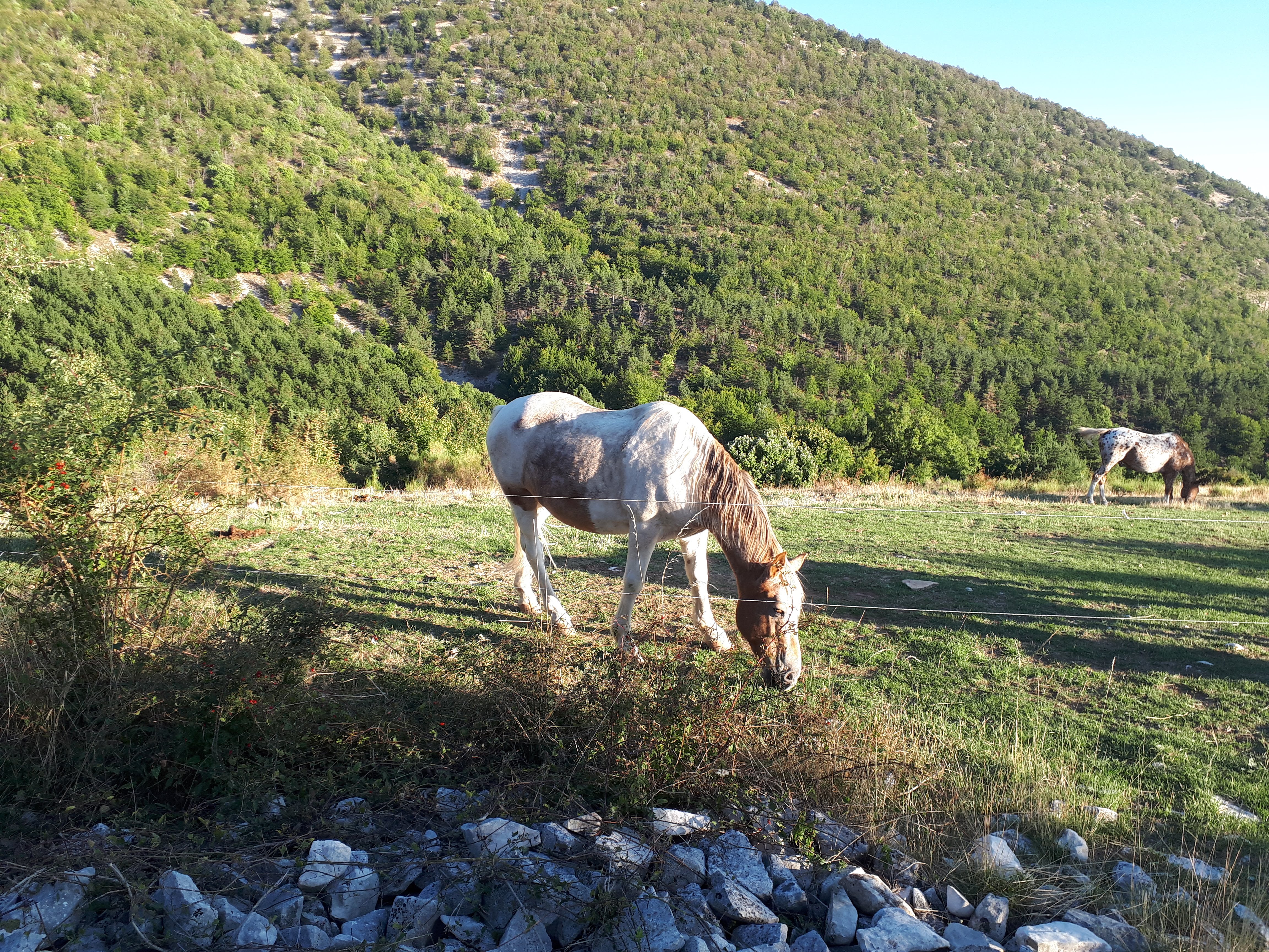 Photo n° 3 de l'avis de Thierry.i fait le 01/10/2019 à 17:37