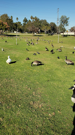 Park «Greer Park», reviews and photos, 6900 W McFadden Ave, Huntington Beach, CA 92647, USA