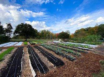 Washington Youth Garden