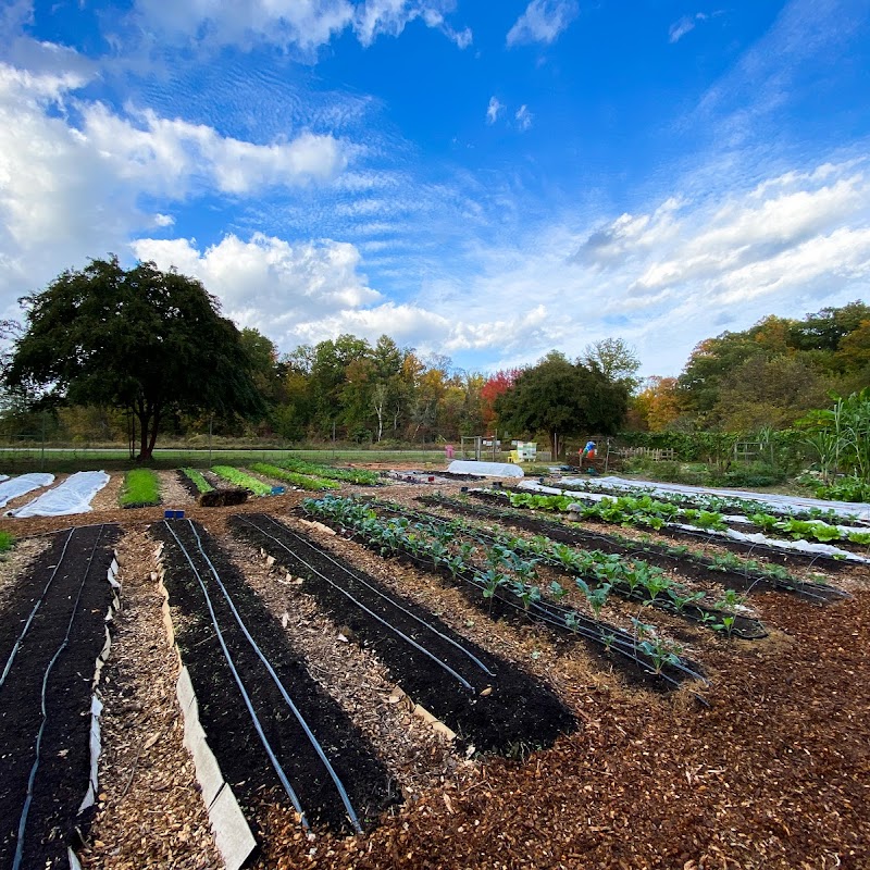 Washington Youth Garden