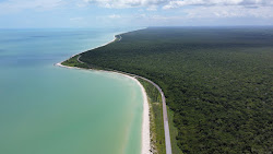 Foto de Playa Natalia área selvagem