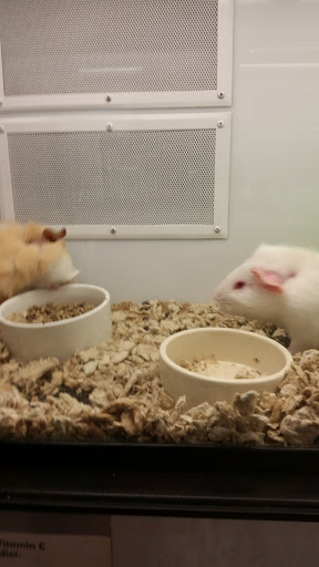 Pet Supply Store «Petco Animal Supplies», reviews and photos, 1111 US-46, Parsippany, NJ 07054, USA