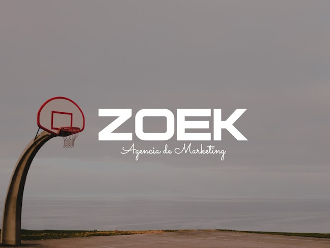 Opiniones de ZOEK Agencia de Marketing en San Esteban - Agencia de publicidad