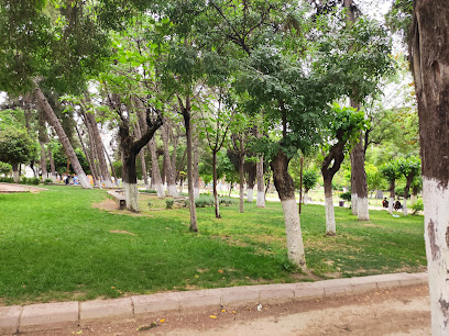 Atatürk parkı