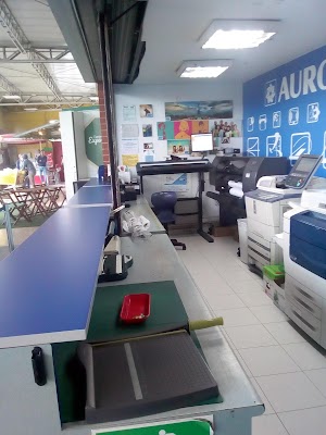 Auros Suba - photo 1