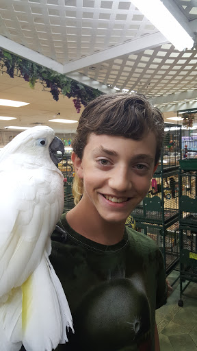 Pet Store «Discount Pet & Supplies», reviews and photos, 16320 Middlebelt Rd, Livonia, MI 48154, USA