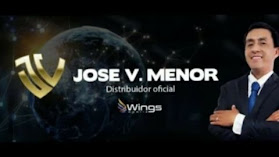 Jose V Menor Wings Mobile Chile