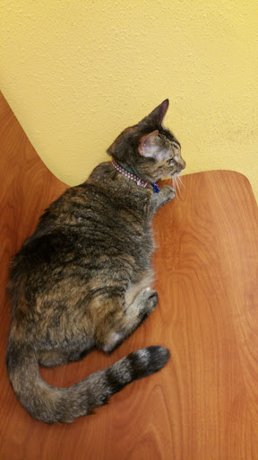 Pet Supply Store «PetSmart», reviews and photos, 1421 Carl D Silver Parkway, Fredericksburg, VA 22401, USA