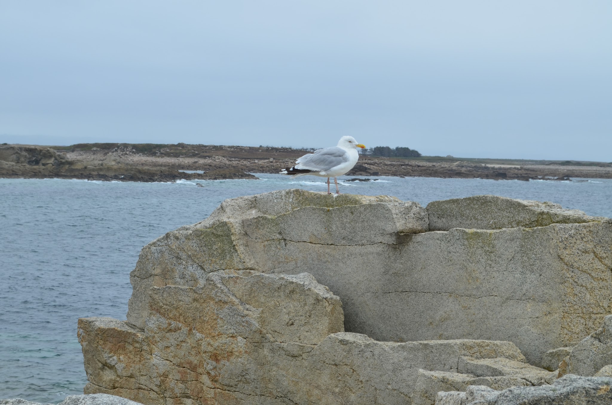 Photo n° 3 de l'avis de Delphine.O fait le 15/05/2017 à 16:47