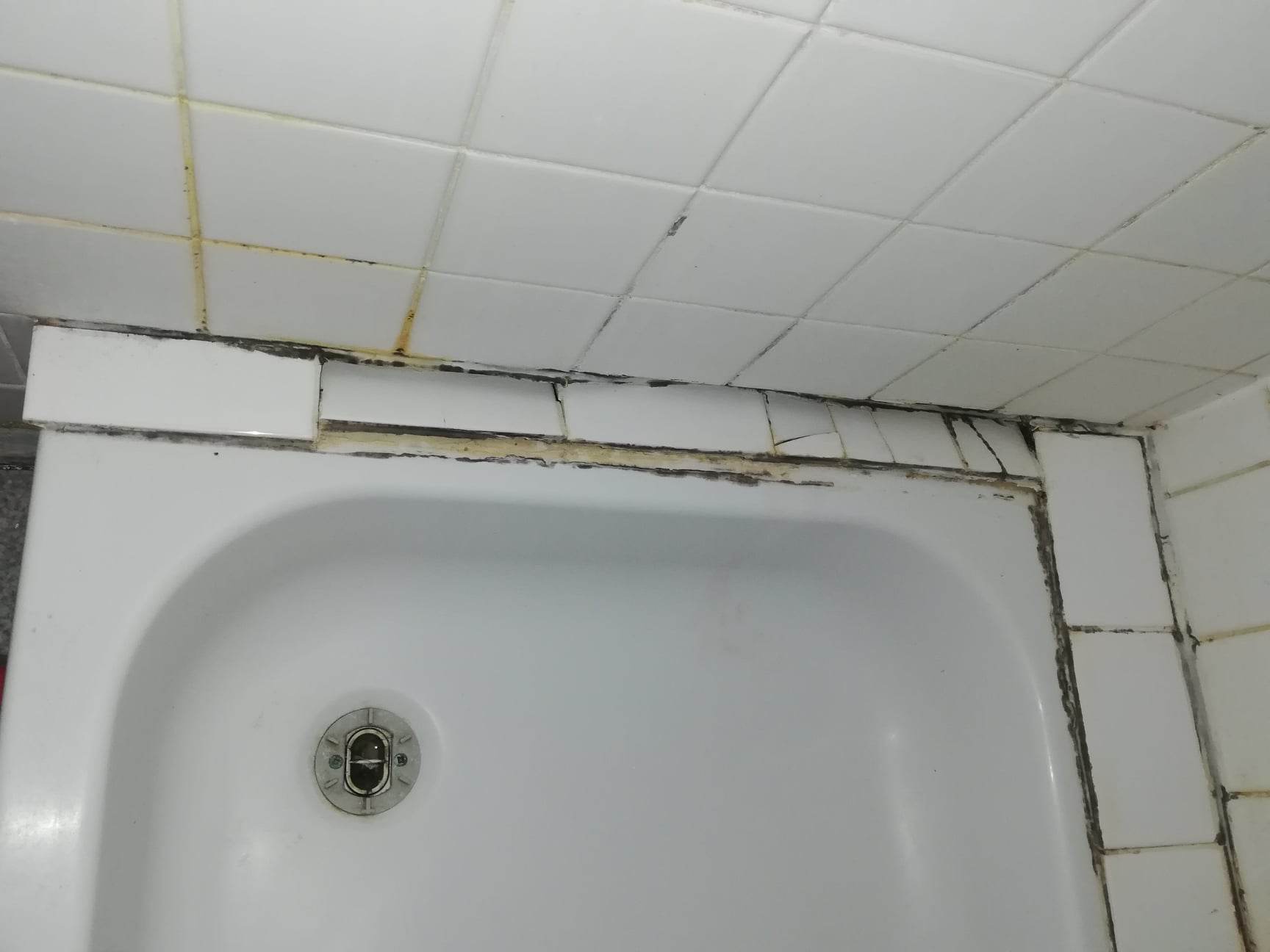 Photo n° 1 de l'avis de Bridjet.e fait le 28/11/2022 à 12:44