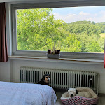 Photo n°2 de l'avis de RoB.a fait le 01/07/2022 à 20:27 sur le  Am Stöter - Ruhrpottpension & Biergarten à Witten