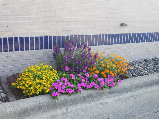 Florist «La Crosse Floral», reviews and photos, 2900 Floral Ln, La Crosse, WI 54601, USA