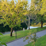 Photo n°2 de l'avis de Fátima.i fait le 12/07/2022 à 07:14 sur le  Vai à Fava à Ponte da Barca