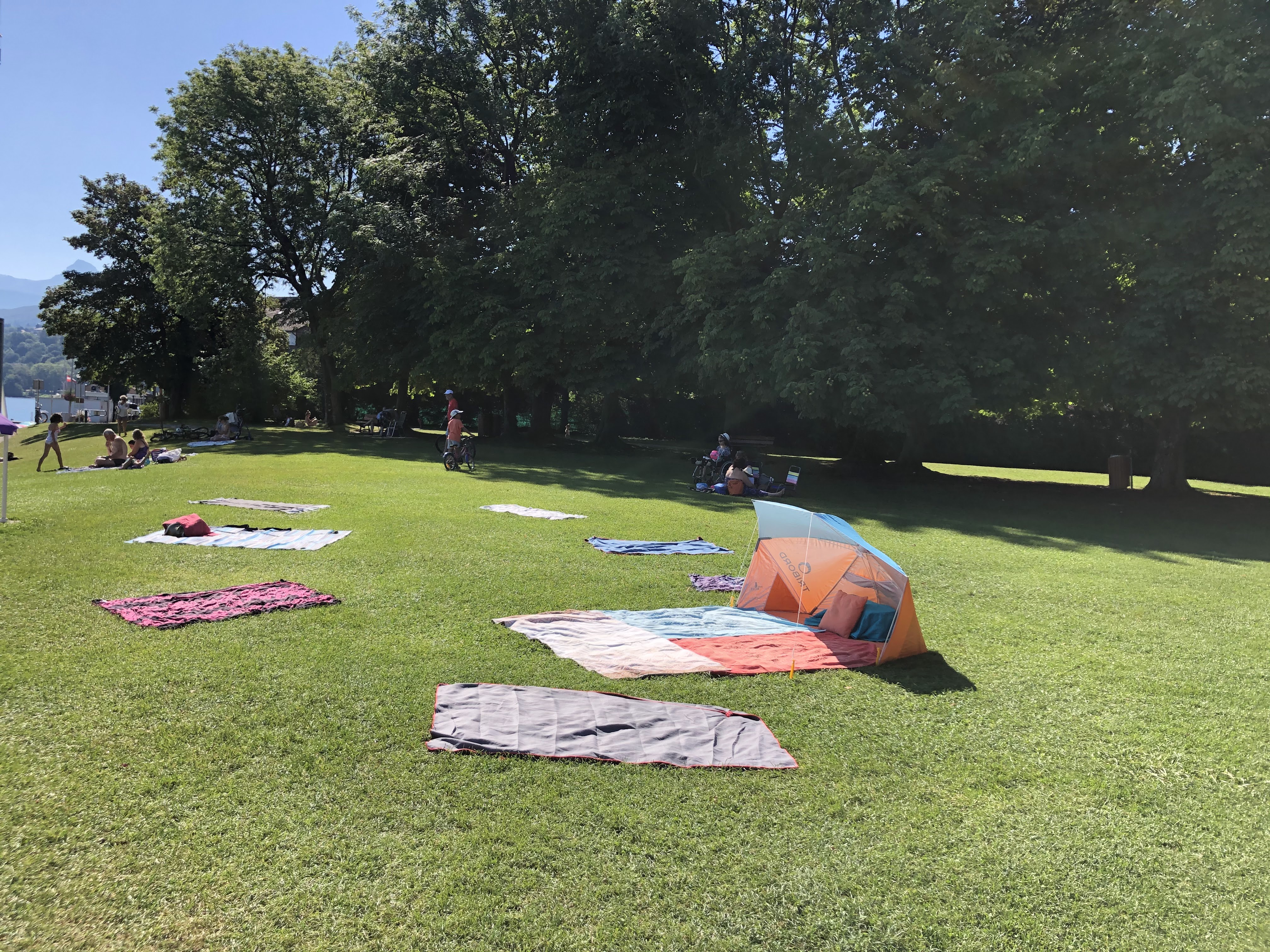 Photo n° 1 de l'avis de bende.e fait le 08/08/2019 à 14:20