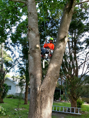 Sieber Tree Service