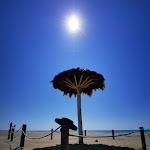 Photo n°7 de l'avis de Dario.a fait le 07/04/2023 à 15:52 sur le  Spiaggia Libera Castel Porziano - Cancello 2 à Rome