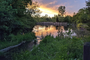 Tollgate Wetlands