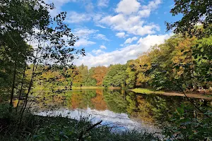 Manhagener Teich mit Wanderweg image