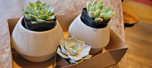 Florist «Wisteria Rockridge», reviews and photos, 6307 College Ave, Oakland, CA 94618, USA