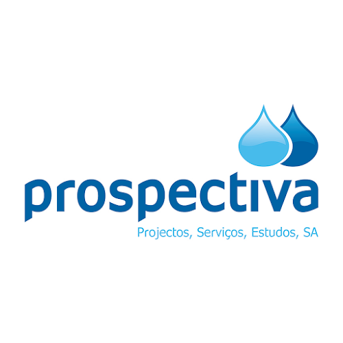 Prospectiva - Projectos, Serviços e Estudos, SA - Construtora
