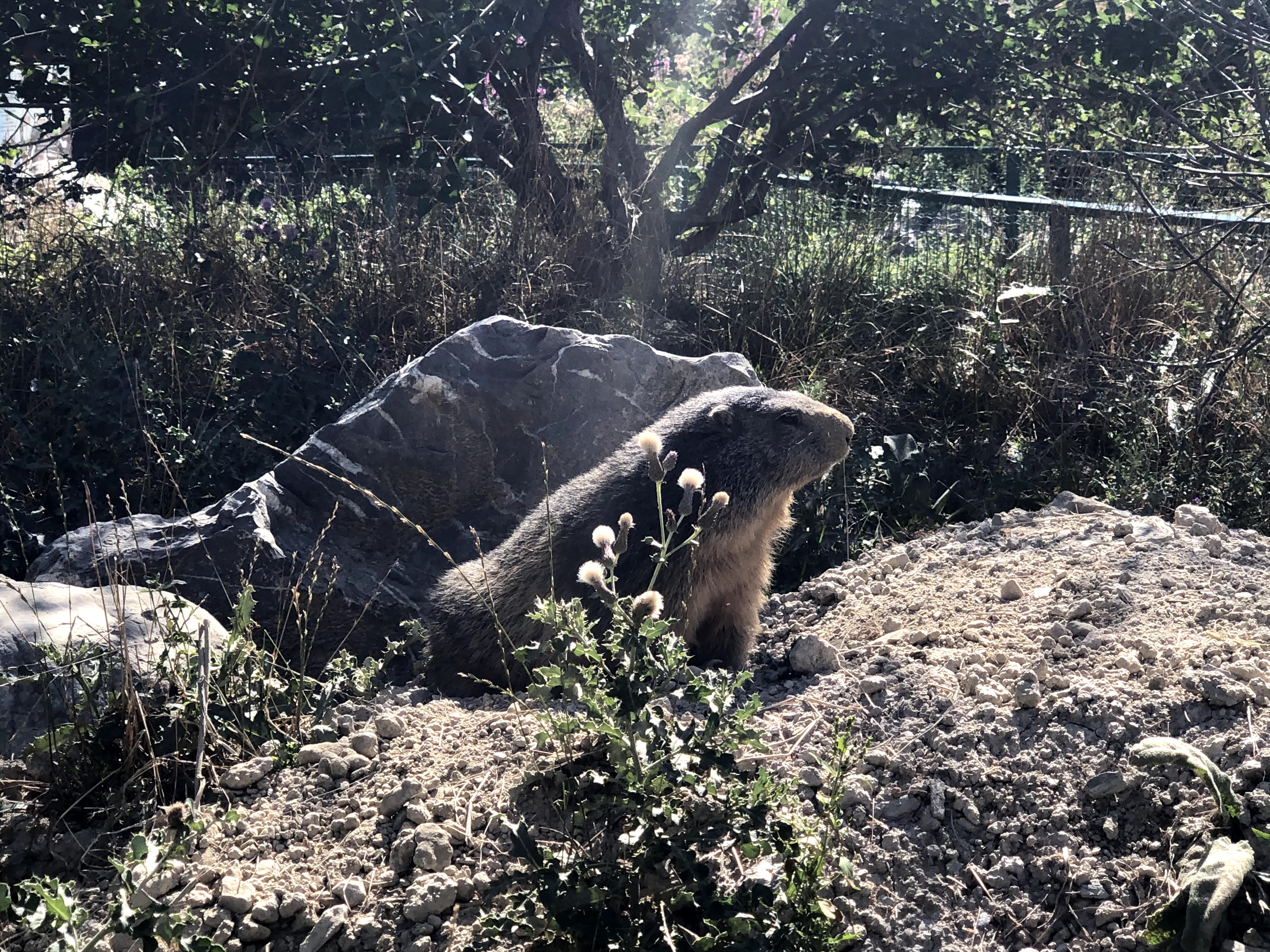 Photo n° 26 de l'avis de Jérémie.r fait le 28/08/2020 à 17:19