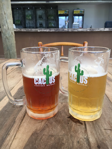 Comentarios y opiniones de Cerveza Cactus Craft Beer