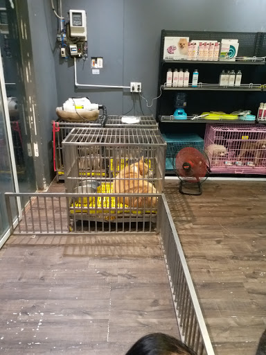 Pet Mart CMT8 - Cửa Hàng Thú Cưng