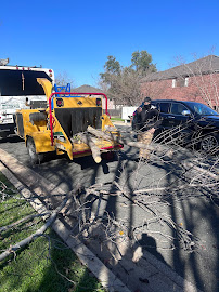 Carlos Lawn and Tree Service - Photo 9 - Car repair in , Round Rock