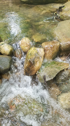 Nature Preserve «Seven Pillars Nature Preserve», reviews and photos, 3555 Mississinewa Rd, Peru, IN 46970, USA