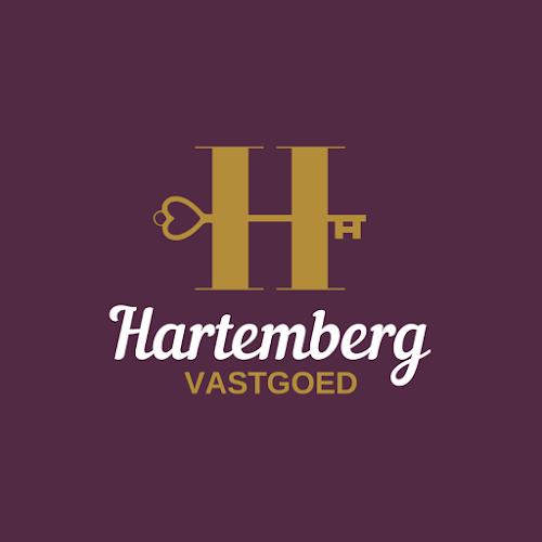 Reacties en beoordelingen van Hartemberg Vastgoed