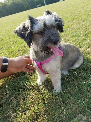 Park «Forney Community Park», reviews and photos, 241 S Farm to Market 548, Forney, TX 75126, USA