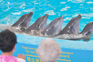 Dolphins Bay Phuket image