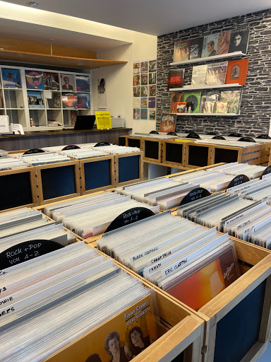 mr. flat record store