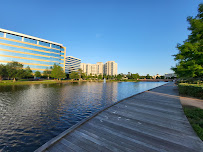 Del Frisco's Grille - Photo 9 - Car repair in The Woodlands, TX, The Woodlands