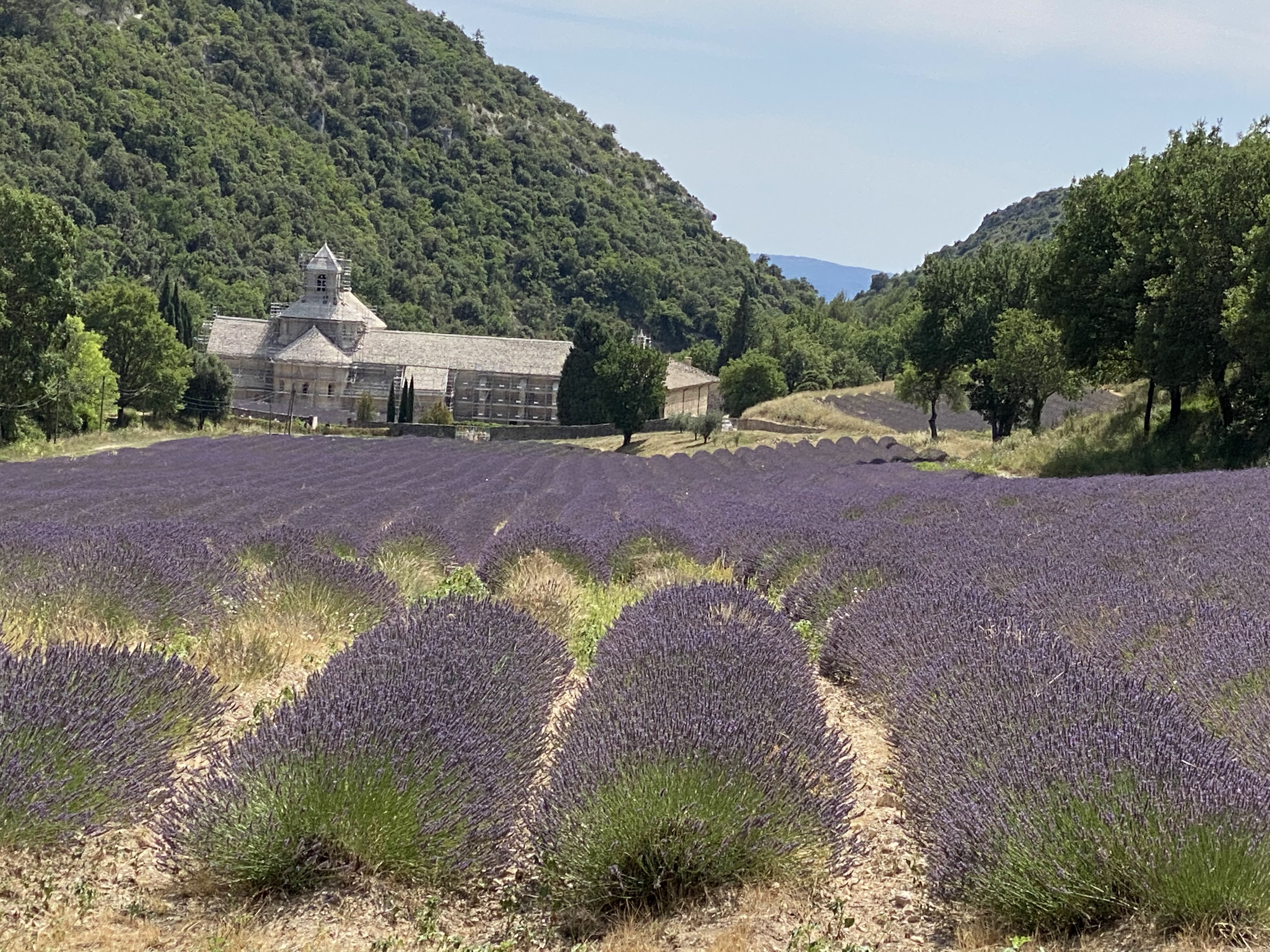 Photo n° 9 de l'avis de Jérémy.e fait le 25/07/2021 à 21:49