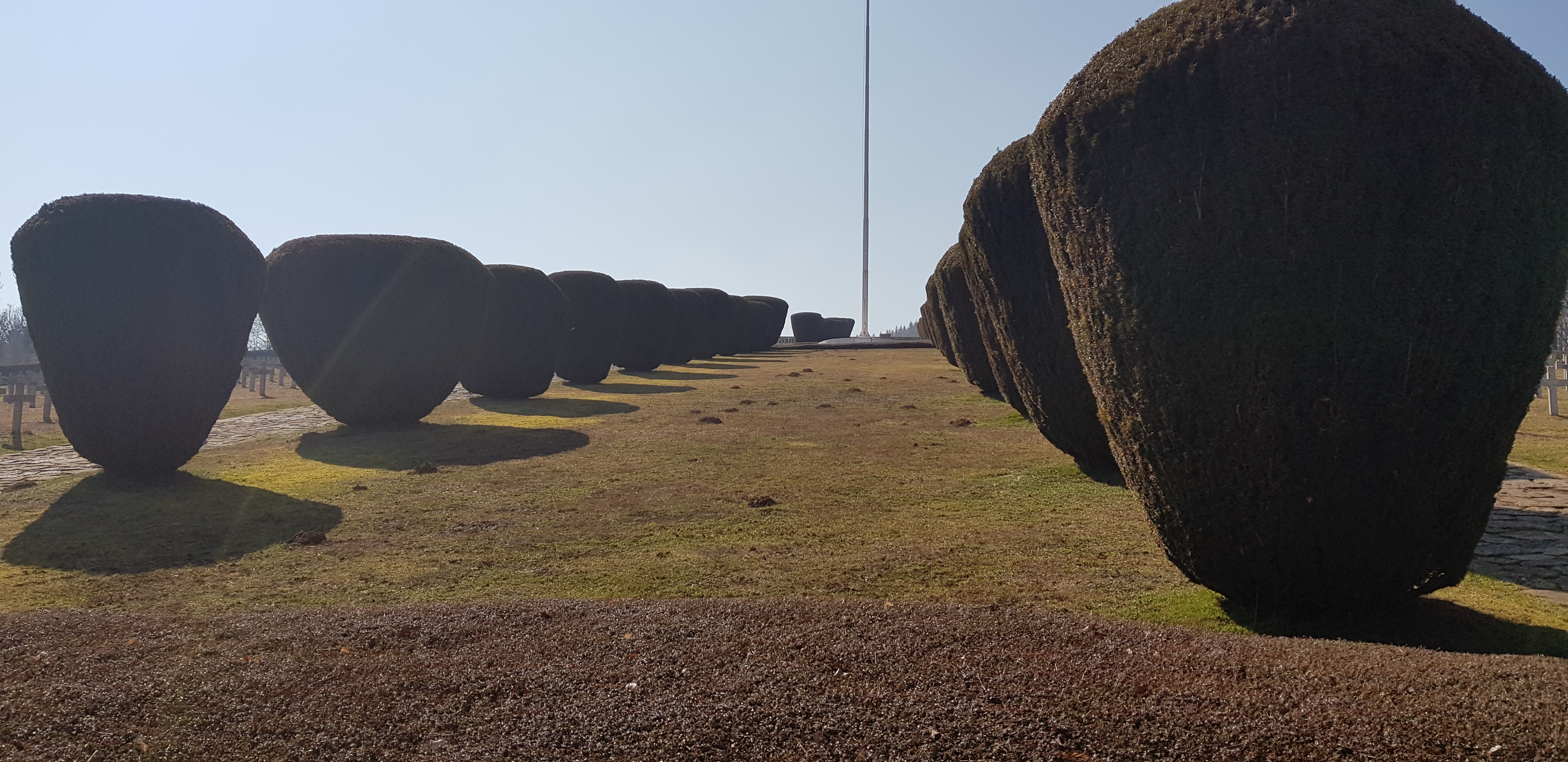 Photo n° 17 de l'avis de Alex.t fait le 22/03/2022 à 18:40