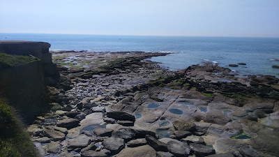 Machez Paul à Audresselles