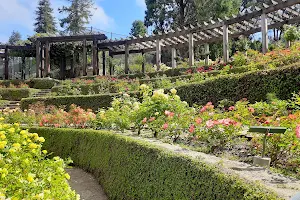 Berkeley Rose Garden image