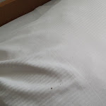 Photo n°4 de l'avis de Fre.i fait le 15/02/2022 à 12:02 sur le  Altdeutsche Schänke Smeddinck-Hotel à Laer