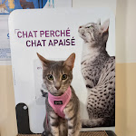 Photo n° 1 de l'avis de C.h fait le 16/01/2021 à 07:18 pour Clinique Vétérinaire des Quais de la Loire à Tours