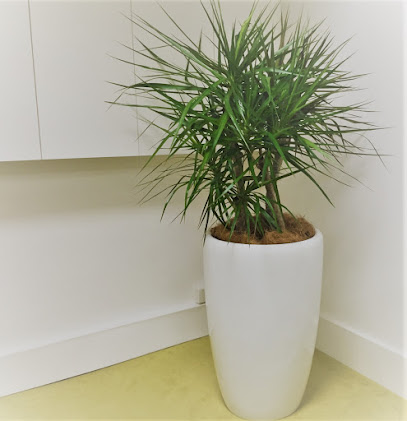 Green Scene Indoor Plant Hire