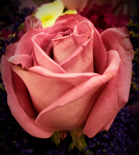 Supermarket «King Kullen», reviews and photos, 127 Sunrise Hwy, Rockville Centre, NY 11570, USA